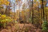 17 Pilot Knob Road - Photo 3