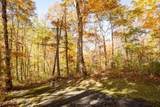 17 Pilot Knob Road - Photo 6
