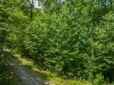 13-15 Tall Cedars - Photo 1