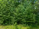 13-15 Tall Cedars - Photo 2