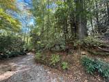 LOT BC Blindside Lane - Photo 6