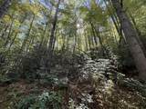LOT BC Blindside Lane - Photo 8