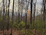 Lot 12 Silly Ridge - Photo 13