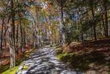 176 Panthertown Trail - Photo 3