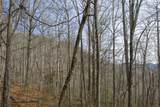 N/A Hunter Jim Creek Road - Photo 11