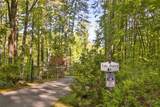 1873 Woods Mountain Trail - Photo 4
