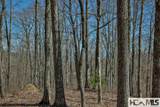 990 Shepherds Gap Road - Photo 12