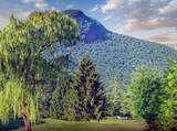50 Dogwood Knob - Photo 34