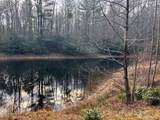 TBD Bryson Branch Road - Photo 2