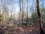 TBD Sapphire Road - Photo 2