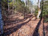 TBD Sapphire Road - Photo 5