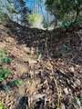 000 Walkingstick Rd - Photo 11