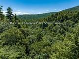 000 Walkingstick Rd - Photo 3