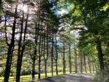 000 Walkingstick Rd - Photo 5