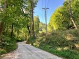 000 Walkingstick Rd - Photo 7