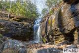 53/65B Cullowhee Forest Road - Photo 10