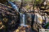 53/65B Cullowhee Forest Road - Photo 11