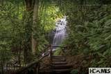 53/65B Cullowhee Forest Road - Photo 35