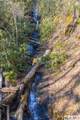 53/65B Cullowhee Forest Road - Photo 9