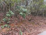 Lot 20 Ideal Acres - Photo 4