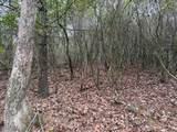 Lot 20 Ideal Acres - Photo 5
