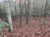 Lot 24 Ideal Acres - Photo 6