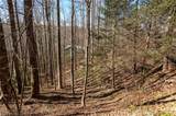 Lot1HR Turkey Roost Road - Photo 6