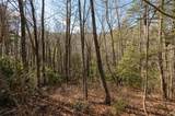 Lot 3 Turkey Roost Road - Photo 9