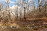 Lot 51 Tower Road - Photo 9