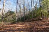 Lot 67 Big Pine Road - Photo 12