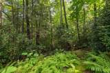 70 Mallet Mountain Way - Photo 81