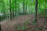 Lot 120 Lonesome Valley - Photo 9