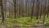 LOT 35 Thomas Knob Estates Road - Photo 10