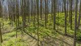 LOT 35 Thomas Knob Estates Road - Photo 15