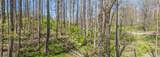 LOT 35 Thomas Knob Estates Road - Photo 16