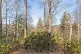 795 Buck Falls Road - Photo 22