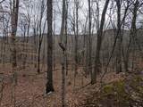 lot 3 Black Gap Road - Photo 10