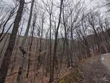 lot 3 Black Gap Road - Photo 11