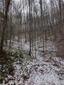 lot 3 Black Gap Road - Photo 3