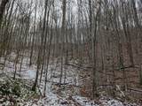 lot 3 Black Gap Road - Photo 4