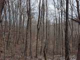 lot 3 Black Gap Road - Photo 7