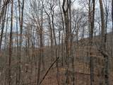 lot 3 Black Gap Road - Photo 8