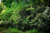 TBD Fox Den Road - Photo 3
