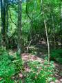 Lot 6 Double Creek Road - Photo 2