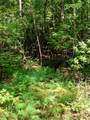 Lot 6 Double Creek Road - Photo 3