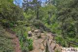 131 Big Creek Lane - Photo 45