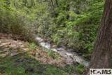 131 Big Creek Lane - Photo 48