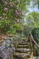 131 Big Creek Lane - Photo 53