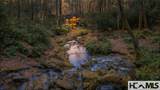 390 Gantes Gulch Road - Photo 72