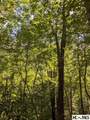 Lot 24 Pilot Knob Road - Photo 1